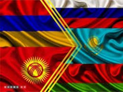 С 12 февраля в Кыргызстане выдают временные госномера на авто
